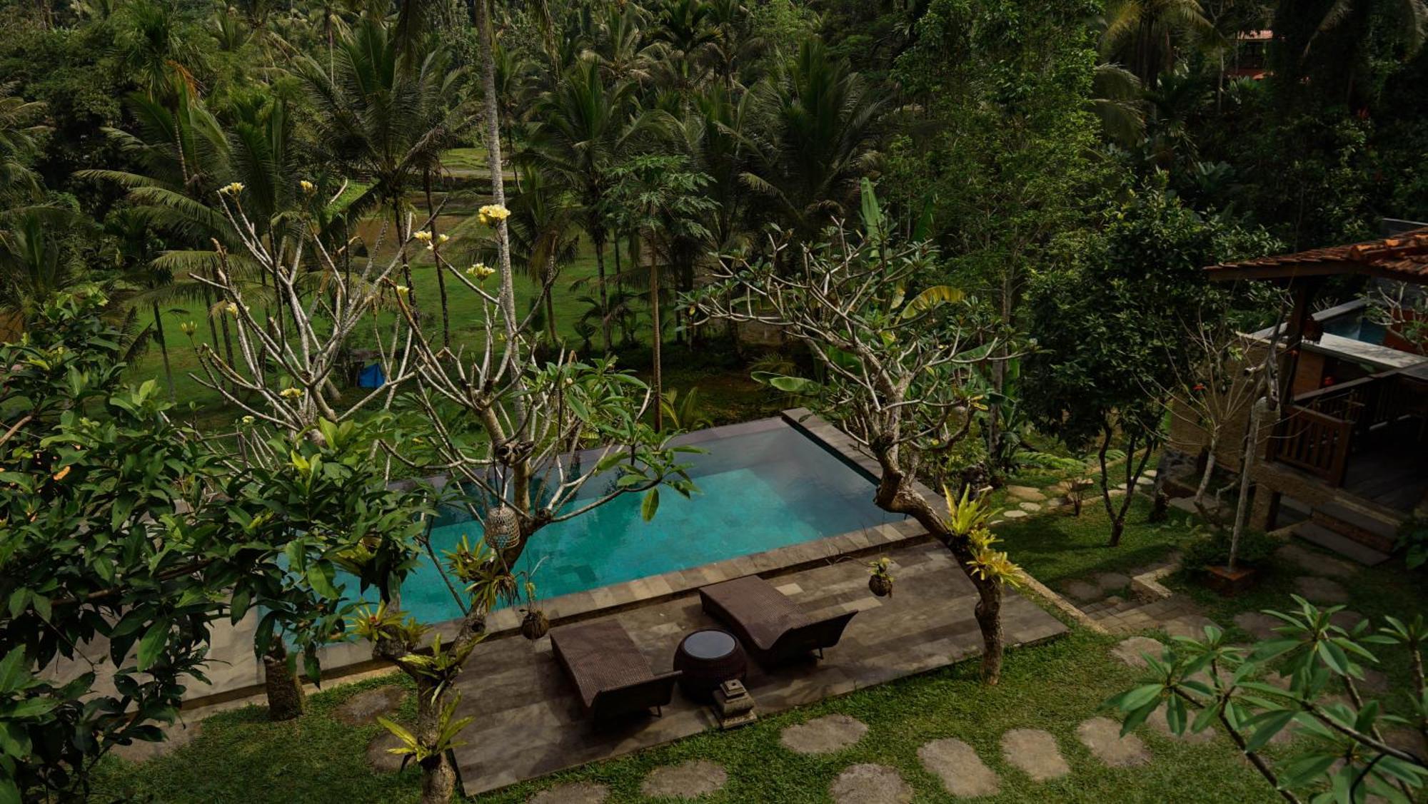 Sebatu Tulen Villa Tegallalang  Luaran gambar