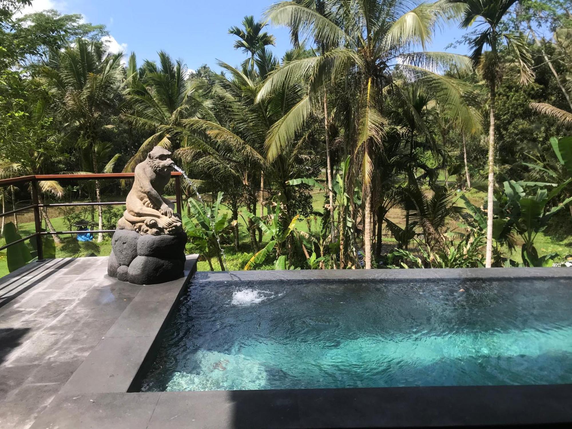 Sebatu Tulen Villa Tegallalang  Luaran gambar