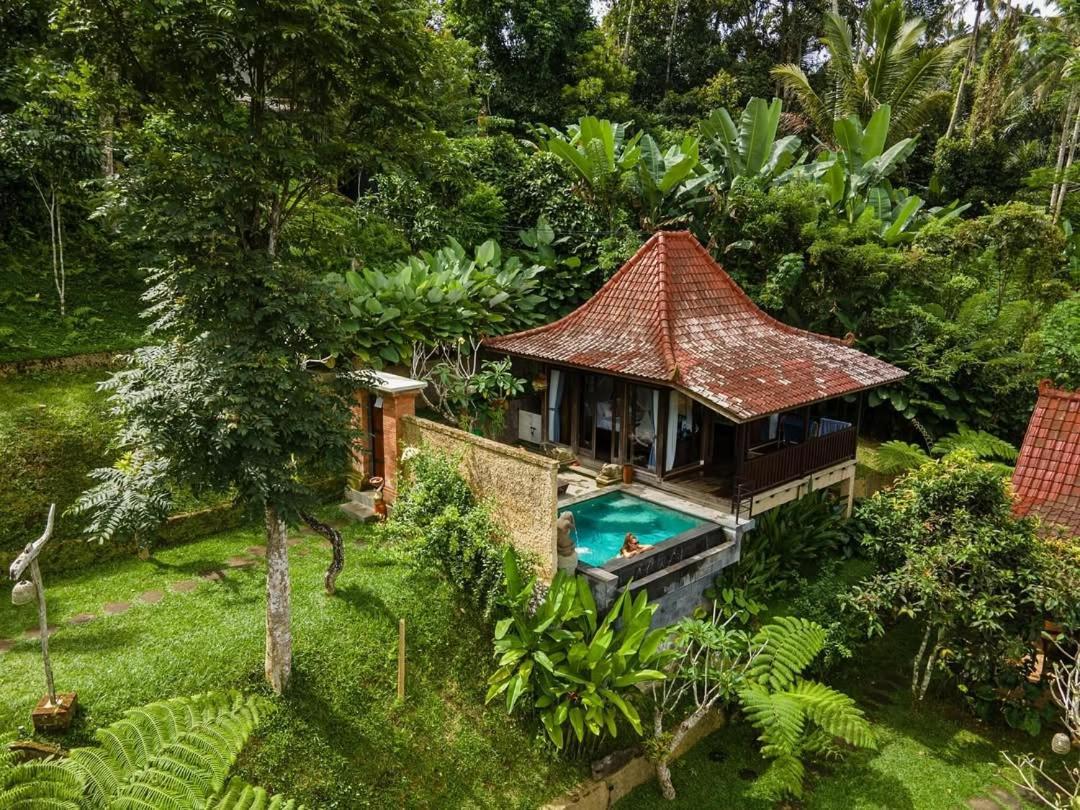 Sebatu Tulen Villa Tegallalang  Luaran gambar